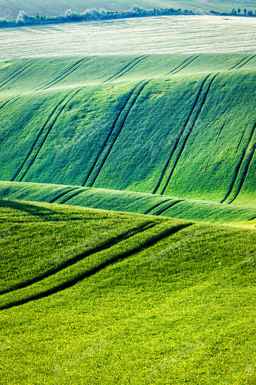 Preview: Rolling landscape of South Moravia