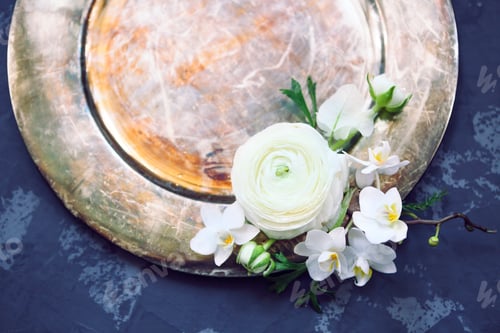 Preview: White ranunculus on black background