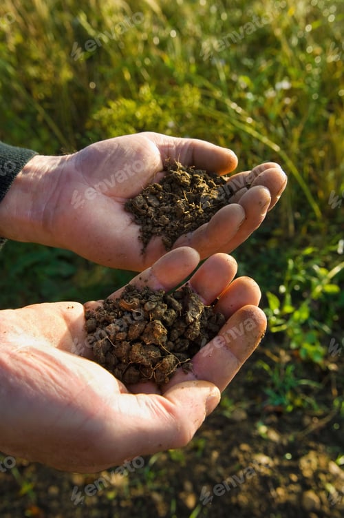 Preview: Close up of a man's hands holding soil samples.