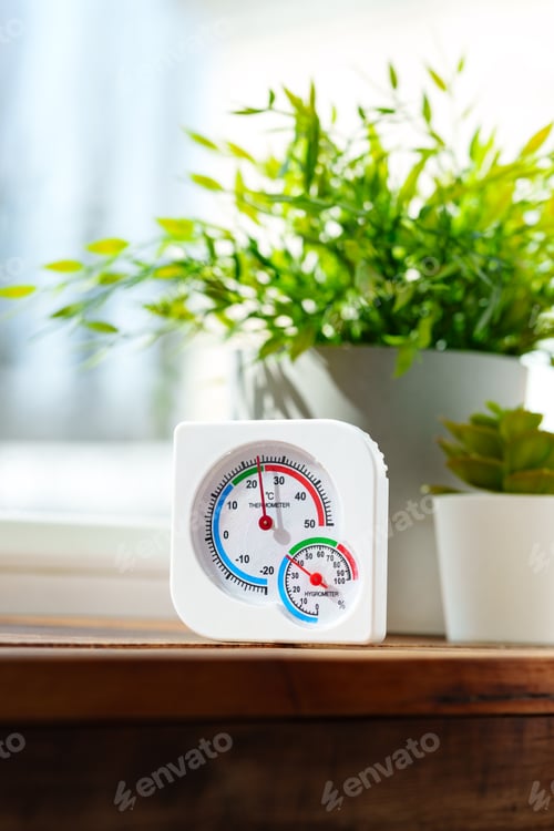 Preview: White Thermometer and Succulents on Windowsill