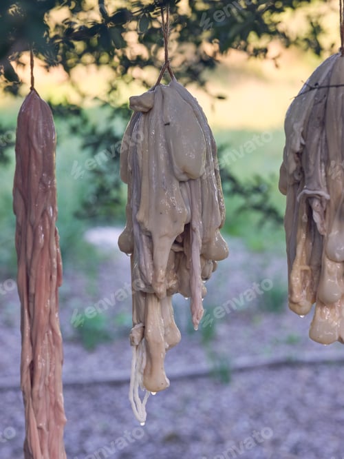 Preview: Animal guts drying near bush