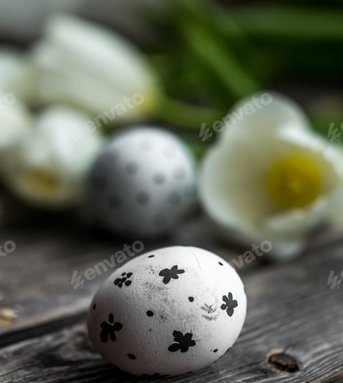 Preview: Easter eggs and white tulips