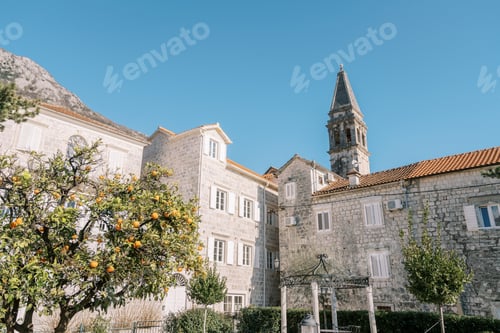Preview: Tangerine trees in the garden near ancient stone houses near the Church of St. Nicholas. Perast