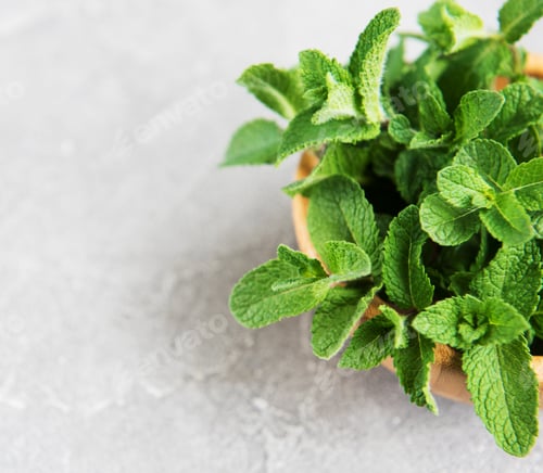 Preview: Fresh green mint