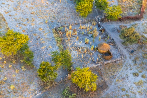 Preview: Aerial view of traditional African hut in smallholding surrounded by fence.