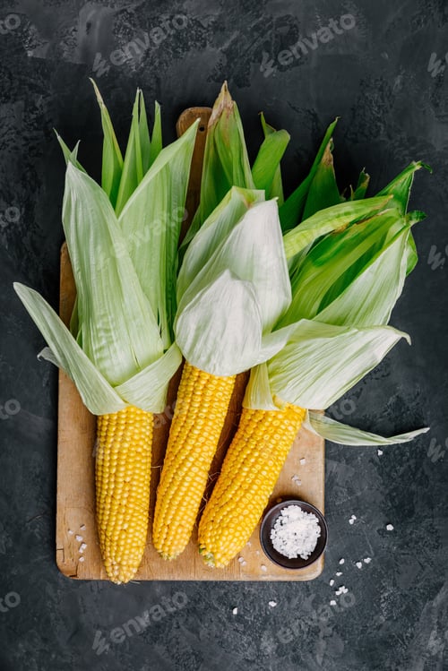Preview: Fresh sweet golden corn on cobs on dark gray stone background