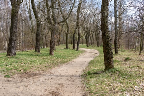 Preview: Dirt road in the park on the border between Sosnowiec and Katowice cities