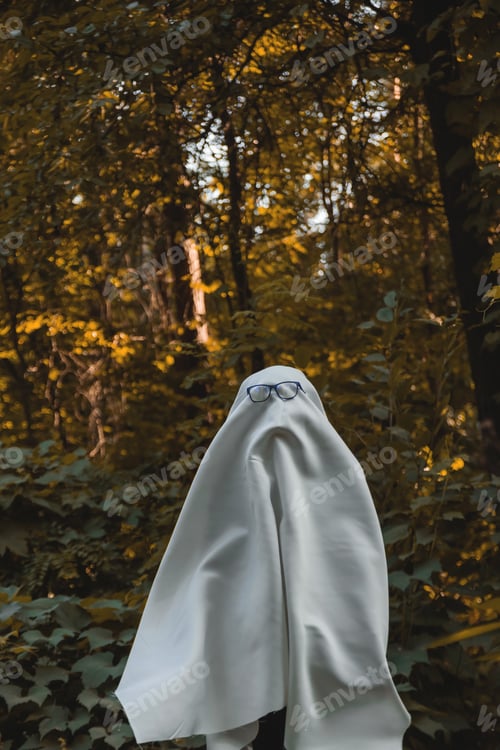 Preview: Scary Halloween ghost in the autumn forest. Trick or treat concept