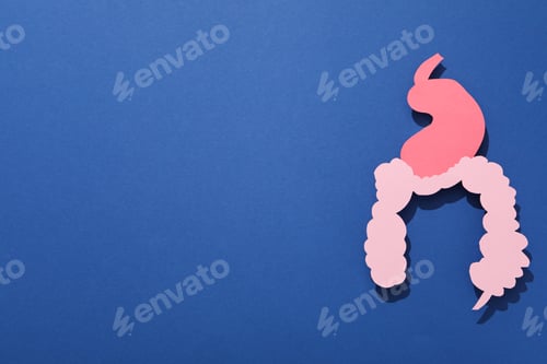Preview: Concept of health care, stomach and intestinal problems