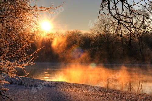 Preview: Beautiful evening panorama of a forest