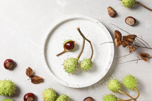 Preview: Green, fresh chestnut fruits in a bowl on a light background