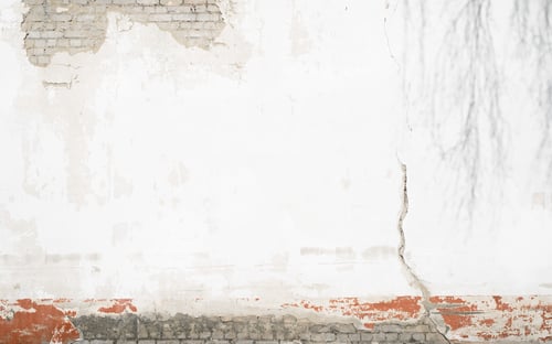 Preview: Damaged wall with crack and shadow from branch of tree, copy space. Textured uneven background