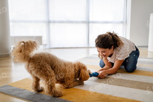 Preview: Beautiful young woman playing with a nice cute dog at home