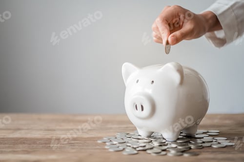 Preview: Hand holding coin with pig piggy bank. Saving and financial accounts concept