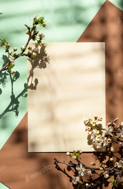Preview: Empty card with shadow of a blooming tree