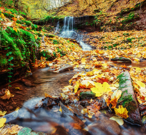 Preview: Waterfall in Autumn. Beautiful golden days. Carpathian Ukraine Europe