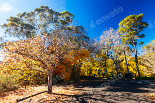 Preview: Hepburn Springs in Victoria Australia