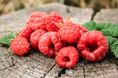 Preview: Heap of raspberries on natural wooden background outdoor. New fresh harvest. Organic food. Berry. N