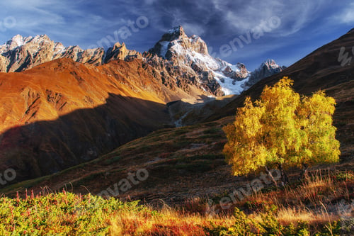 Preview: Autumn landscape and snowy mountain peaks.