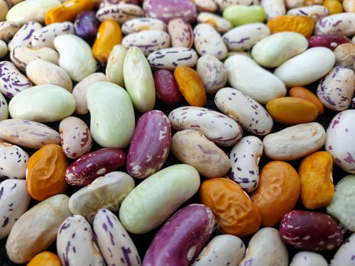 Preview: Macro shot of heap of colorful kidney beans, Heap of colorful raw kidney beans (legumes)