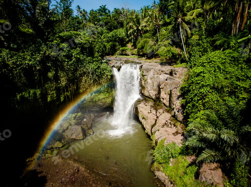 Preview: Scenic waterfall surrounded by tropical trees