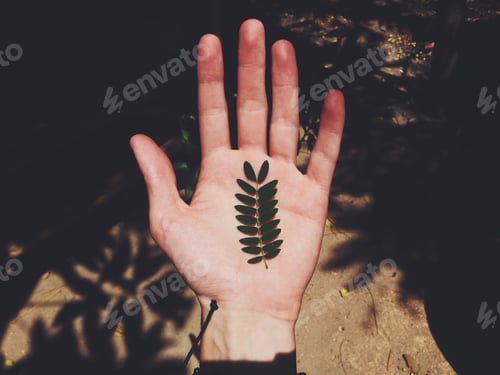 Preview: Little tropical plant in hand