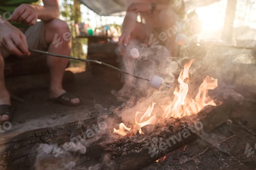 Preview: Company of friends fry sweet marshmallows over a fire, on a sunny summer day, in the forest