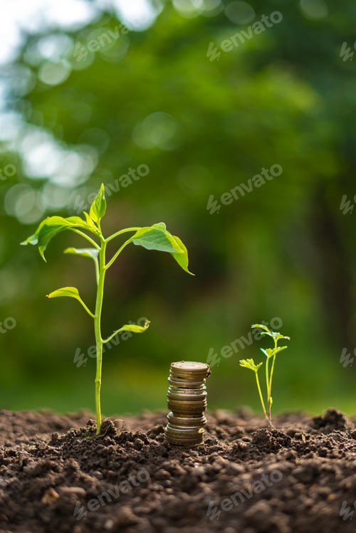 Preview: stack of coins near the small growing sprout in the ground, increase money concept