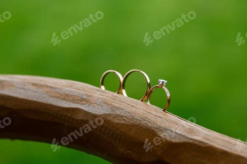 Preview: Gold wedding rings for newlyweds on their wedding day. Jewelry for the holiday of a couple in love