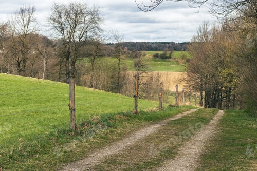 Preview: Spring landscape with green farm fields and road in cloudy weather