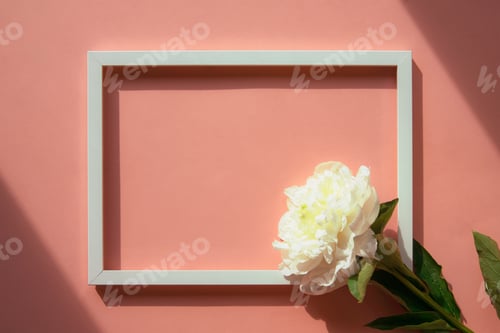 Preview: White peony flower on pastel pink background with picture frame. Flat lay, top view, mock up.