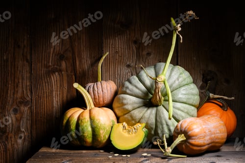 Preview: Decorative autumn pumpkins in different shapes