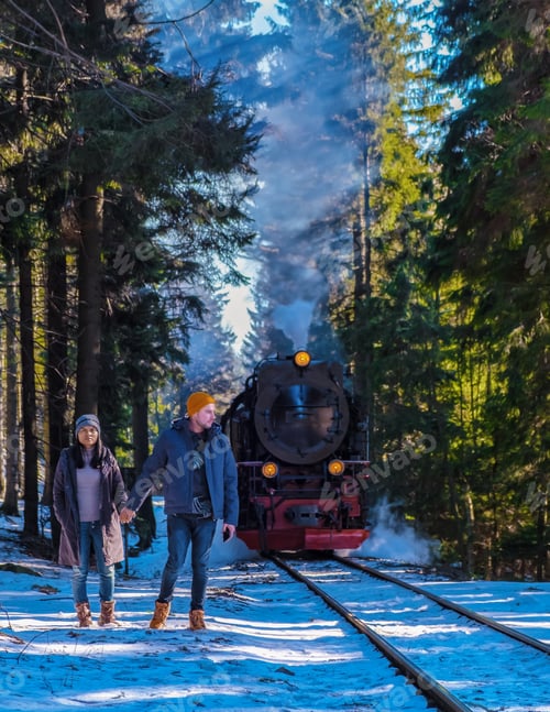 Preview: couple of men and women watching the steam train during winter in the snow in the Harz Germany