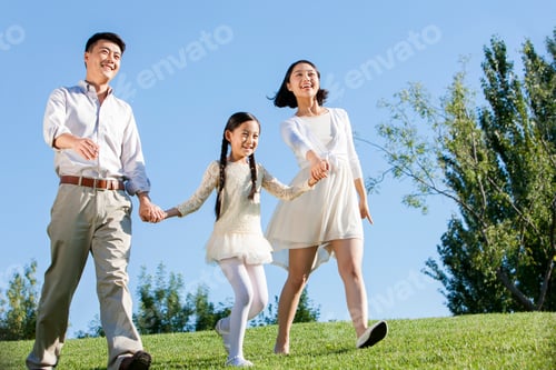 Preview: Happy young family walking hand in hand in a park