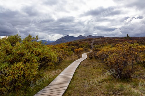 Preview: View of Scenic Hiking Trail on top of a Mountain on a Sunny Fall Day