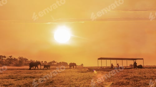 Preview: Tourists enjoying a sunset safari with elephants in the distance.
