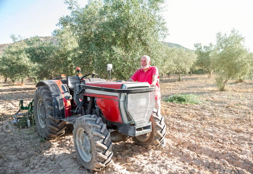 Preview: Older farmer leaning on tractor in olive groves