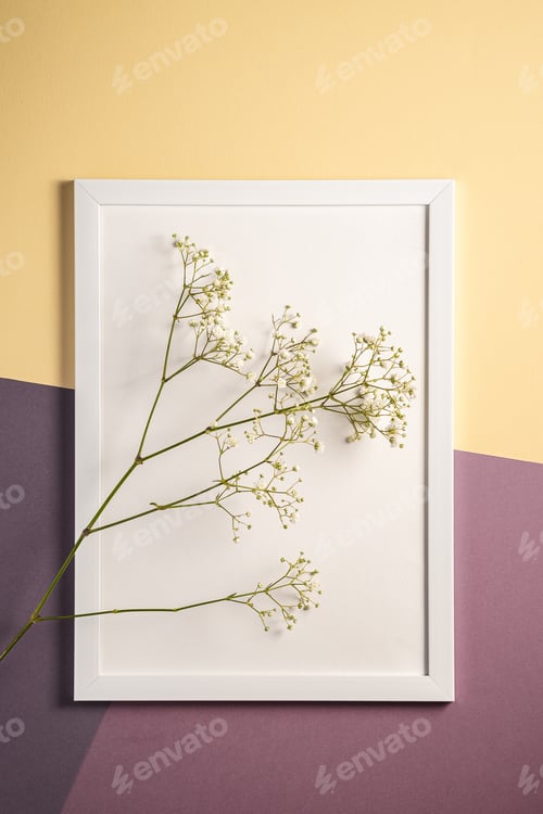 Preview: White picture frame with empty template, gypsophila flowers