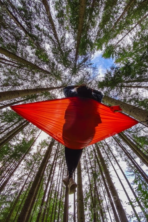 Preview: happy woman on hammock in the forest