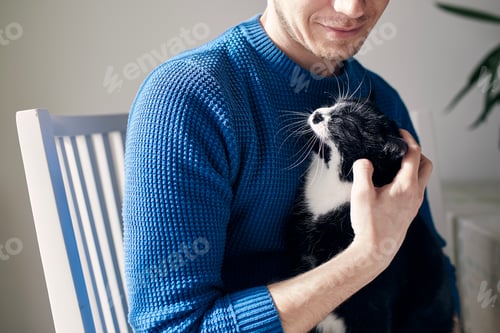 Preview: Man stroking his cat at home during sunny day