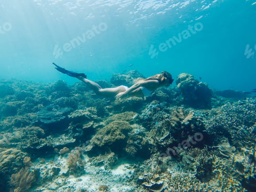 Preview: female snorkeling in flipper discover aquatic life in Bali during leisure time