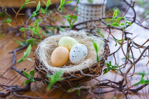 Preview: Easter Decor, Colorful Eggs In Natural Straw Nest Surrounded By Green Leaves On Brown Wooden Surface