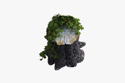 Preview: Carved stump with ivy canopy