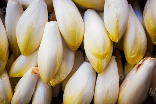 Preview: A market stall, fresh produce for sale. Endives, vegetables.