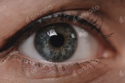 Preview: cropped shot of female eye looking at camera