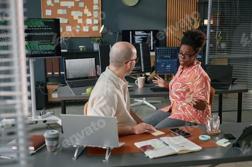 Preview: Middle Aged Caucasian Man and Black Woman Discussing Software Development Project