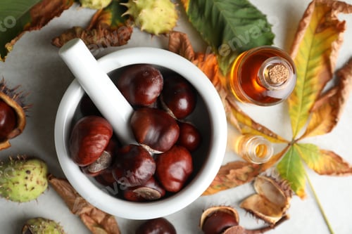 Preview: Flat lay composition with fresh horse chestnuts and tincture on grey table