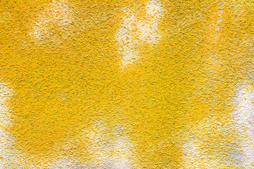 Preview: Yellow Painted Rough Wall Texture Background