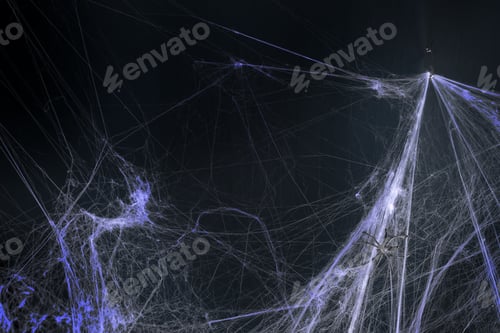 Preview: halloween, decoration and horror concept - decoration of artificial spider web over black background