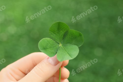 Preview: Woman holding four-leaf clover outdoors, closeup